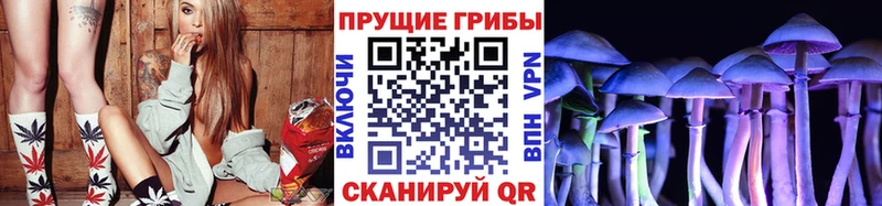 Галлюциногенные грибы Magic Shrooms  Купить закладки  Ковров 